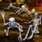 Halloween Life Size Skeleton Posable Skeleton Full Body Plastic Human with Adjustable Joints for Outdoor Indoor Halloween Decoration